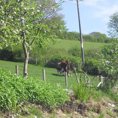 Staylittle Farm Dolgellau Buitenkant foto