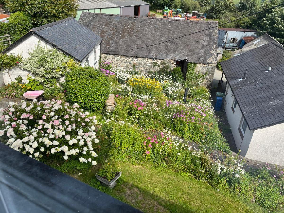 Staylittle Farm Dolgellau Buitenkant foto